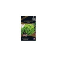 Laitue batavia Florine (sachet)