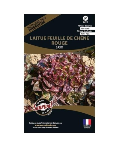Laitue feuille de chêne rouge Saxo (sachet)