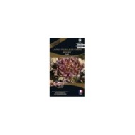 Laitue feuille de chêne rouge Saxo (sachet)