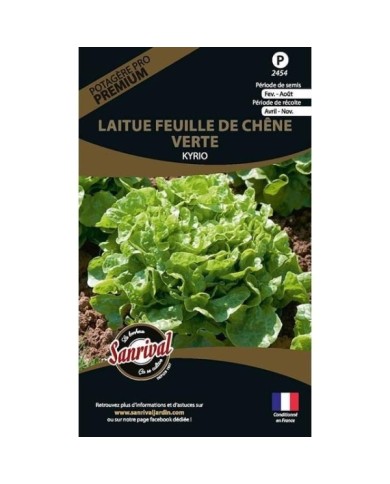 Laitue feuille de chêne verte Kyrio (sachet)