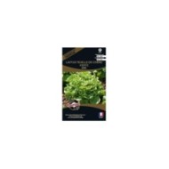 Laitue feuille de chêne verte Kyrio (sachet)