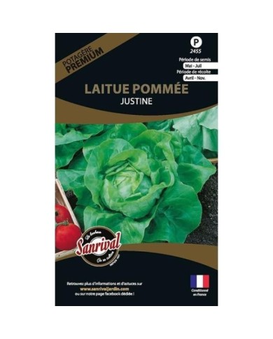 Laitue pommée Justine (sachet)