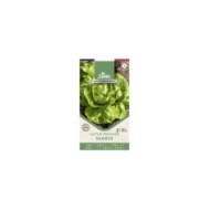 Laitue pommée Sagess - sachet de graines