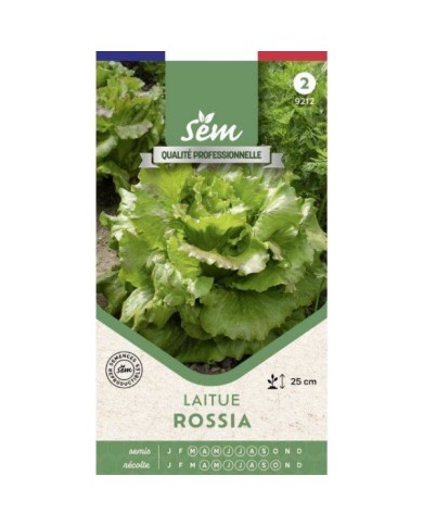 Laitue Rossia - sachet de graines