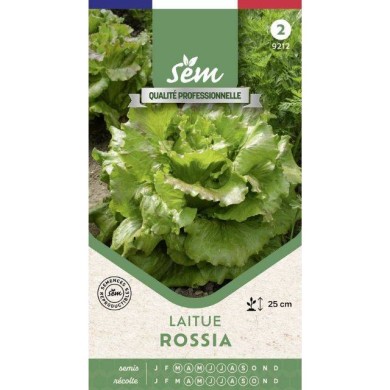 Laitue Rossia - sachet de graines
