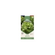 Laitue Rossia - sachet de graines