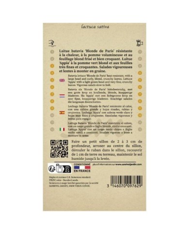Laitue Batavia Blonde de Paris et Pommée Appia en rubans