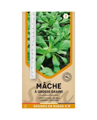 Mâche à grosses graines en ruban