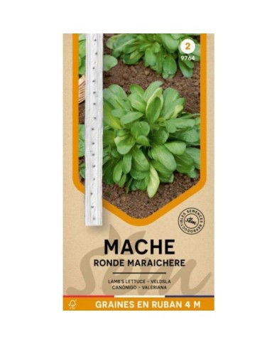 Mâche Ronde Maraîchère en ruban
