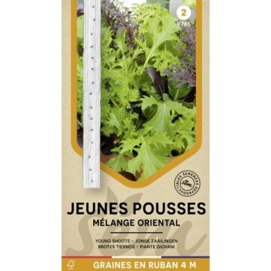 Mélange oriental de jeunes pousses en ruban