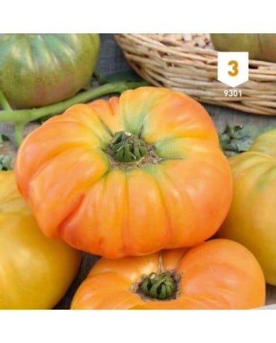 Tomate Ananas