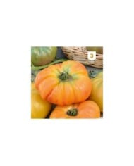 Tomate Ananas