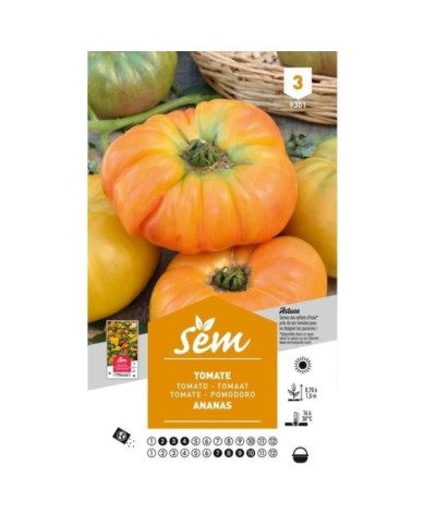 Tomate Ananas (sachet)