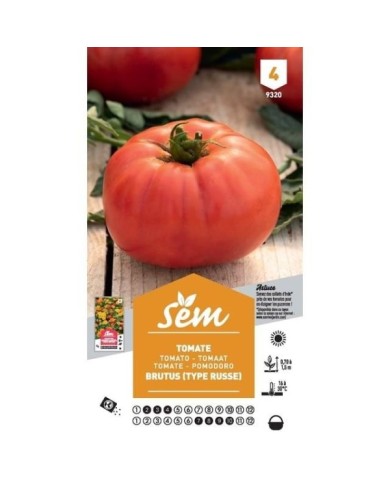 Tomate Brutus F1 (sachet)