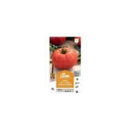 Tomate Brutus F1 (sachet)