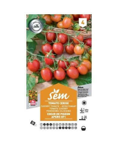 Tomate cerise coeur de pigeon apéro F1 (sachet)