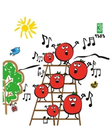 Tomate cerise sweet 100
