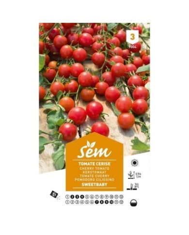Tomate cerise sweet baby (sachet)