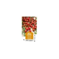 Tomate cerise sweet baby (sachet)