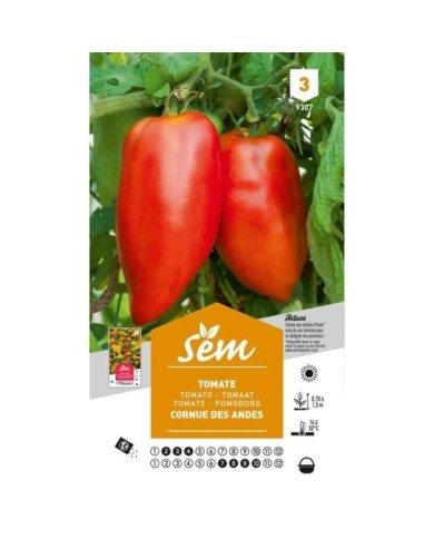 Tomate cornue des Andes (sachet)