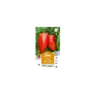 Tomate cornue des Andes (sachet)