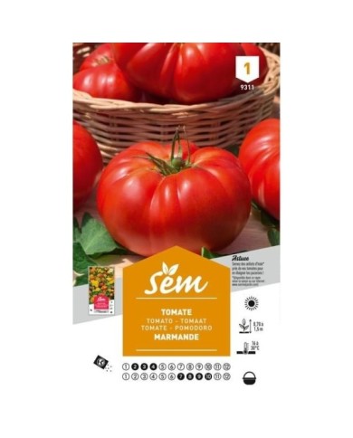 Tomate Marmande (sachet)