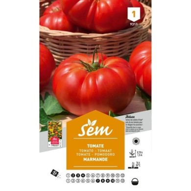Tomate Marmande (sachet)