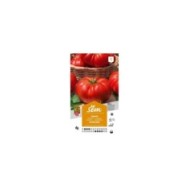 Tomate Marmande (sachet)