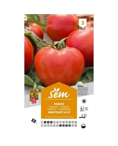 Tomate Montfavet 63/5 (sachet)