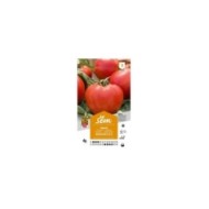 Tomate Montfavet 63/5 (sachet)