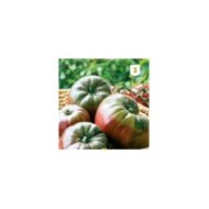 Tomate Noire de Crimée