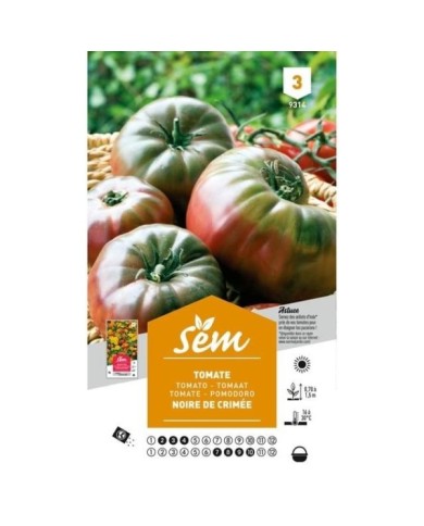 Tomate Noire de Crimée (sachet)