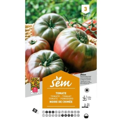 Tomate Noire de Crimée (sachet)
