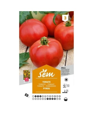 Tomate Pyros (sachet)
