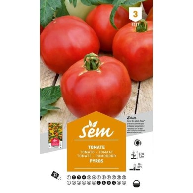 Tomate Pyros (sachet)