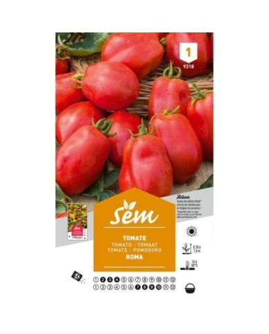 Tomate Roma (sachet)