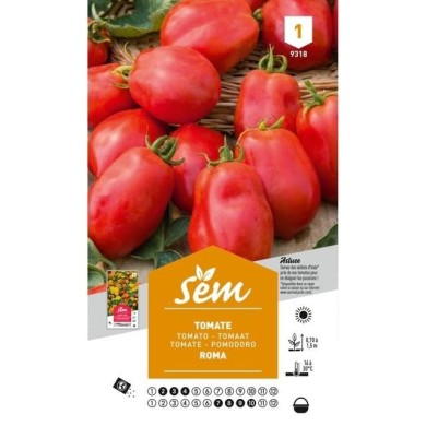 Tomate Roma (sachet)