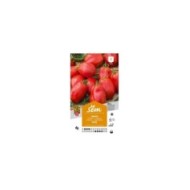 Tomate Roma (sachet)
