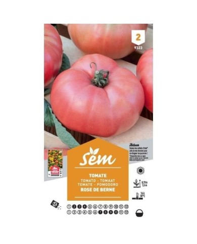 Tomate Rose de Berne (sachet)