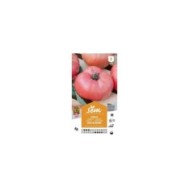 Tomate Rose de Berne (sachet)