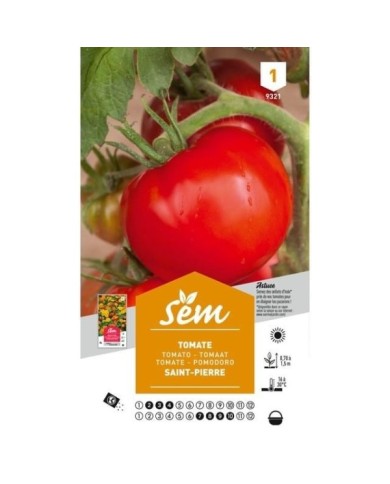 Tomate Saint-Pierre (sachet)
