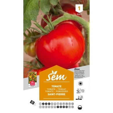 Tomate Saint-Pierre (sachet)