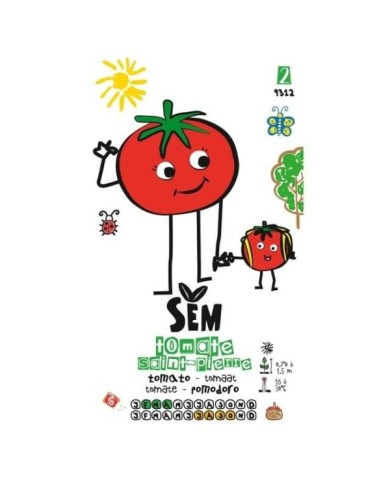 Tomate St Pierre gamme Kids (sachet)