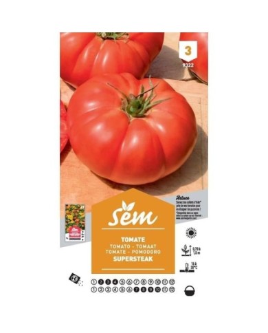 Tomate Supersteack F1 (sachet)