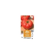 Tomate Supersteack F1 (sachet)
