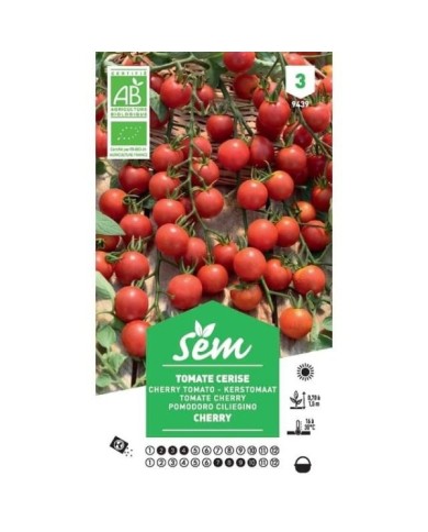 Tomate cerise Bio (sachet)
