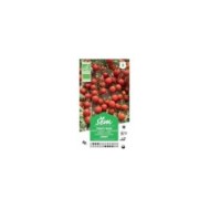 Tomate cerise Bio (sachet)