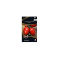 Tomate allongée Colibri F1 (sachet)