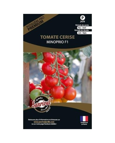Tomate cerise Minoprio F1 (sachet)