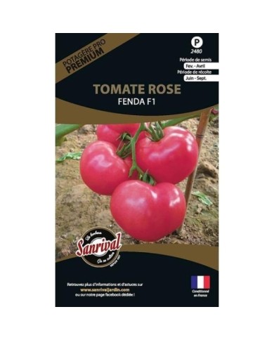 Tomate rose Fenda HF1 (sachet)